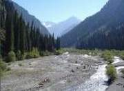 фото с сайта www.forum.gup.kz