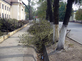 фото Kazakhstan Today