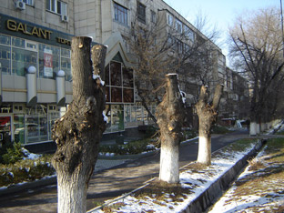 фото Kazakhstan Today