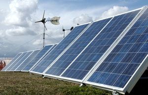 Фото с сайта greenevolution.ru