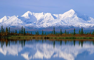 Фото с сайта www.canna.ru