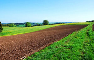 Фото с сайта www.agroalem.kz