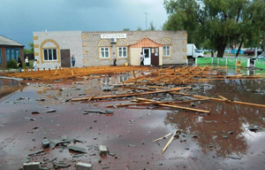 Фото с сайта http://pavon.kz/